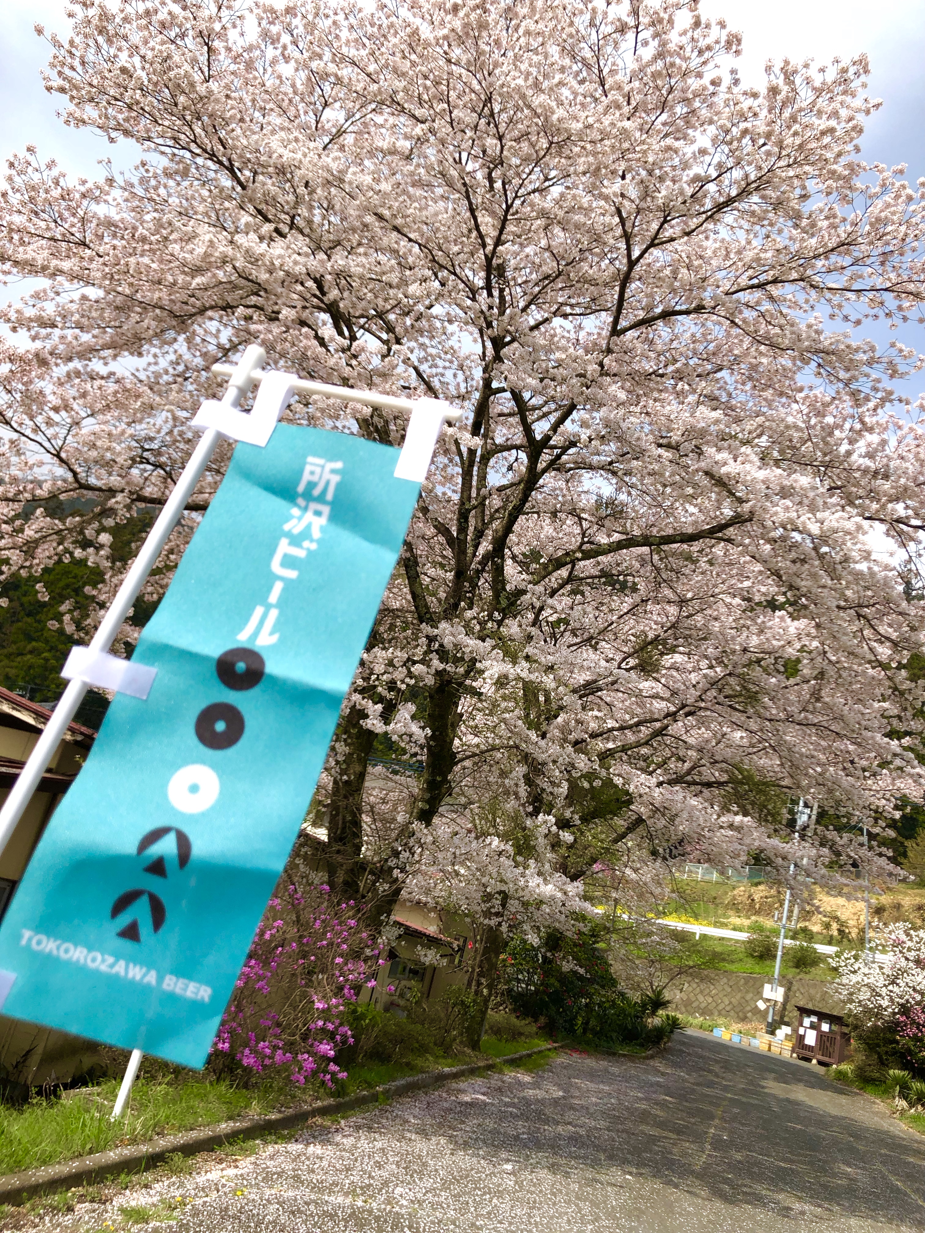 【スモークもくもく木曜日】 自家燻製　スモーク麦芽
