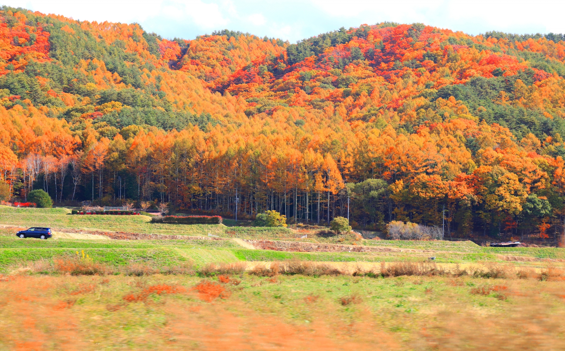 【スモークもくもく木曜日】晩秋と野外燻製のススメ