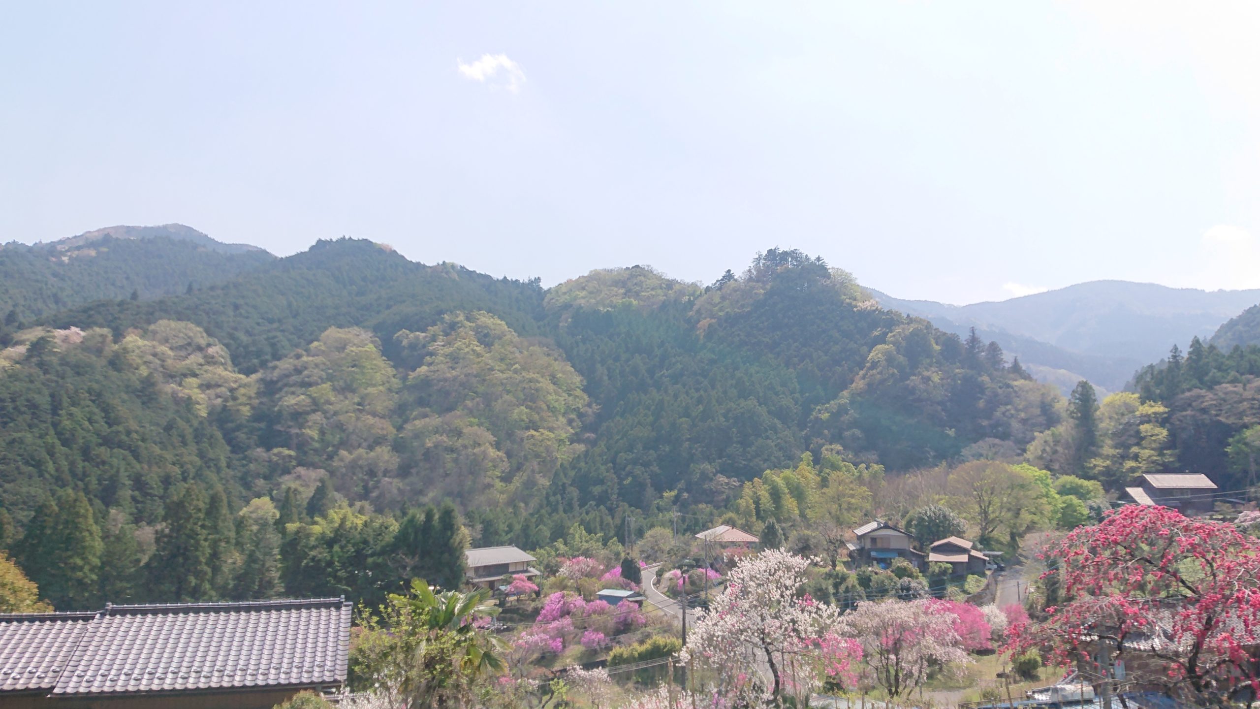 【スモークもくもく木曜日】久しぶりの麦芽燻製