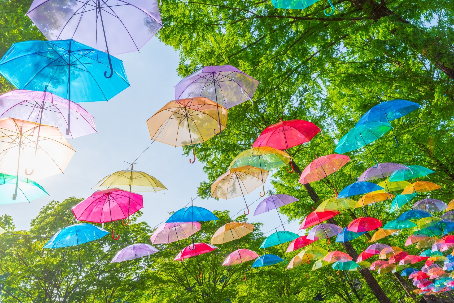 【スモークもくもく木曜日】梅雨の日の工場